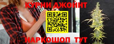 ешки Новозыбков