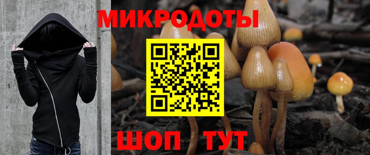 Галлюциногенные грибы Magic Shrooms Реж